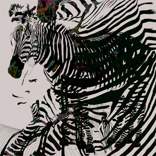 Design Zebra 02